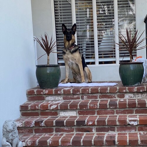 Visit bodhran's profile on GETTR. View their posts, photos, videos, and connect with them on the social platform.