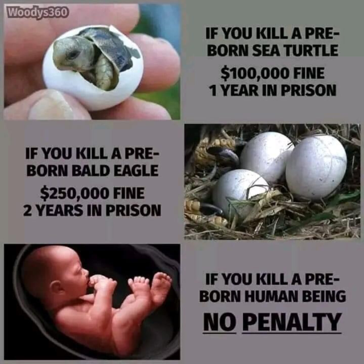 Patriots Unite!!! 🇺🇸❤🇺🇸❤ Hope you all are having a great weekend! 🗽❤🗽

#DonnaBirdytrains

@WeR...