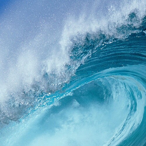 Citizen of the New Federal State of China