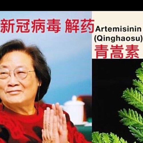 Visit 金3互粉's profile on GETTR. View their posts, photos, videos, and connect with them on the social platform.