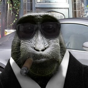 Much cooler than you
