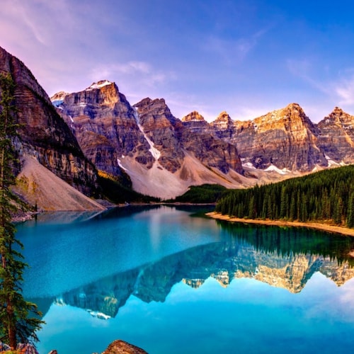 The ccp fear the world know the #COVID19 came from wuhan lab.

The ccp encourage many company develo...