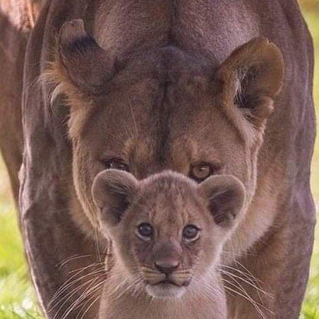 Visit Gpaof4's profile on GETTR. View their posts, photos, videos, and connect with them on the social platform.