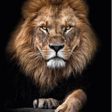 Visit carlos_1959's profile on GETTR. View their posts, photos, videos, and connect with them on the social platform.