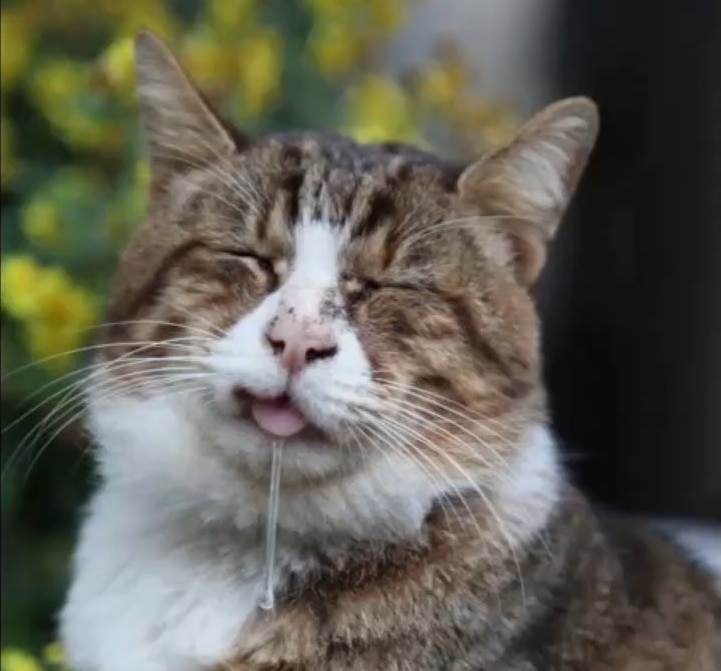 View AFNZ's post on GETTR. Join the discussion, share your thoughts, and connect with the community.