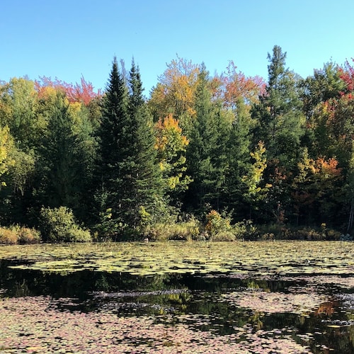 Visit qi2000's profile on GETTR. View their posts, photos, videos, and connect with them on the social platform.