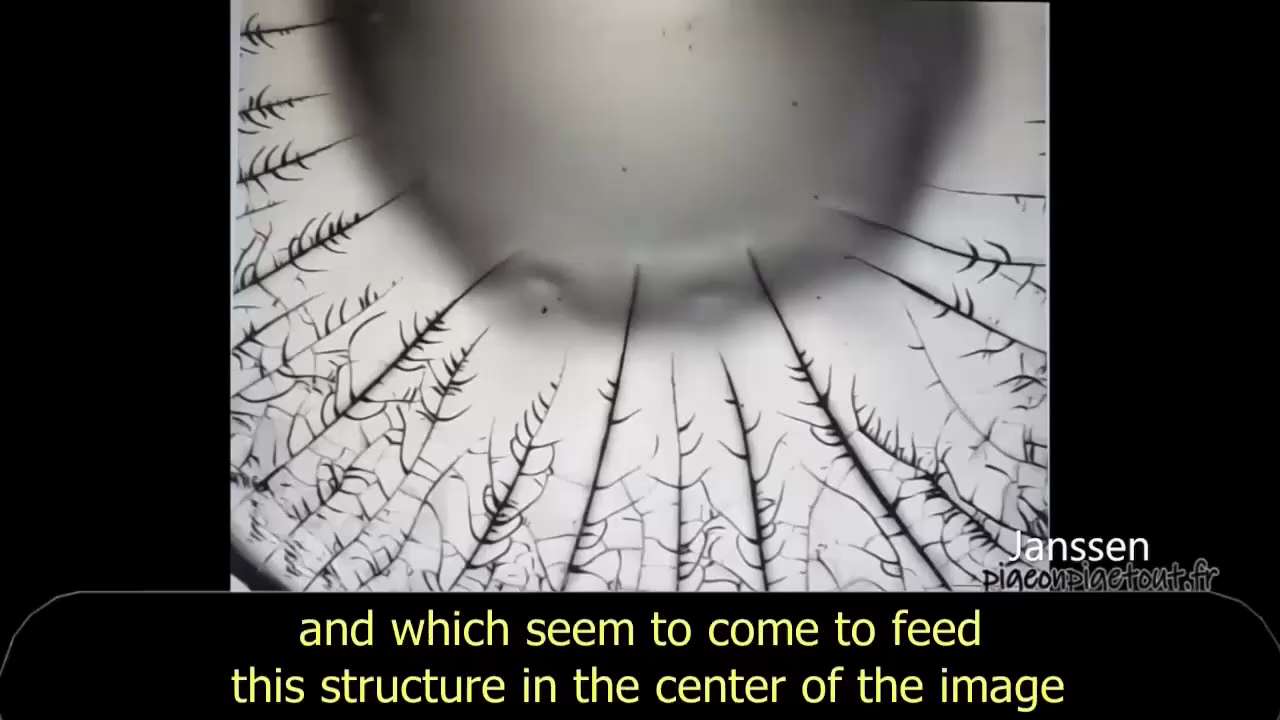 π±π₯π±π₯π±π₯π±π₯π±π₯π±π₯π±π₯π±π₯π±
Γ PROPOS DES NANOTECHNOLOGIES
potentiellement CONTENU...