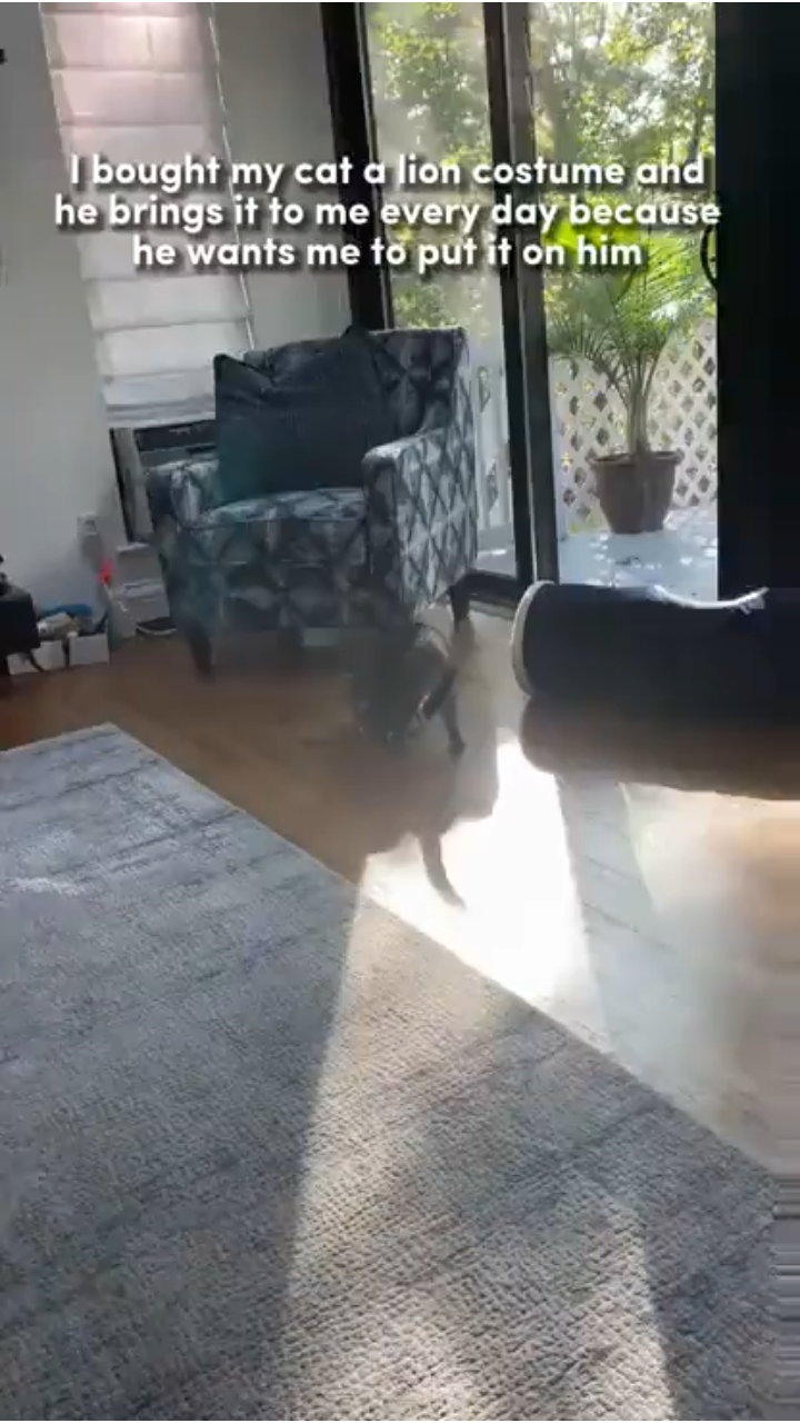 View ☦️🦁⚔ 🆃🆁🅴🅱 ⚔🩸's post on GETTR. Join the discussion, share your thoughts, and connect with the community.