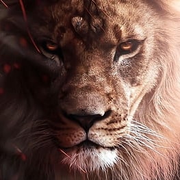 Dedicated Christian non-denominational pastor committed to spreading the love of Christ and guiding a diverse congregati...