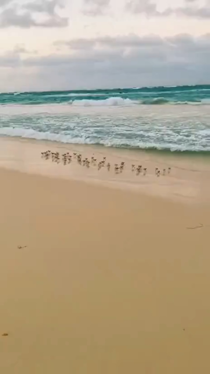 View ☦️🦁⚔ 🆃🆁🅴🅱 ⚔🩸's post on GETTR. Join the discussion, share your thoughts, and connect with the community.