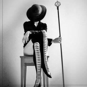 Dog mom of 3, “conspiracy theorist”,  red voter stuck in a blue state.
I grow my own vegetables & beautiful flowers. 
#M...