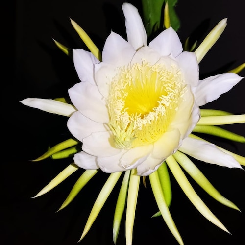 Visit Ambrozina's profile on GETTR. View their posts, photos, videos, and connect with them on the social platform.