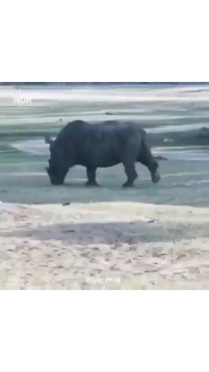 View ☦️🦁⚔ 🆃🆁🅴🅱 ⚔🩸's post on GETTR. Join the discussion, share your thoughts, and connect with the community.