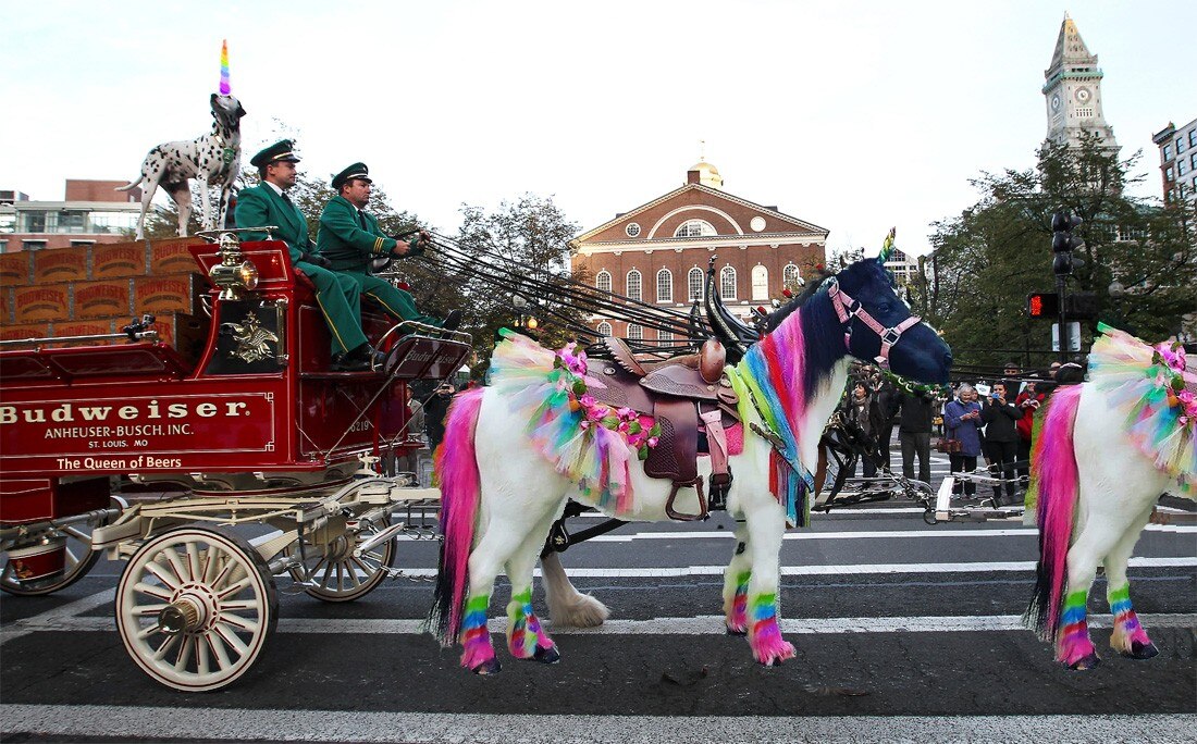 @Karlibonne 
#Budverylight
#queenofbeers  

