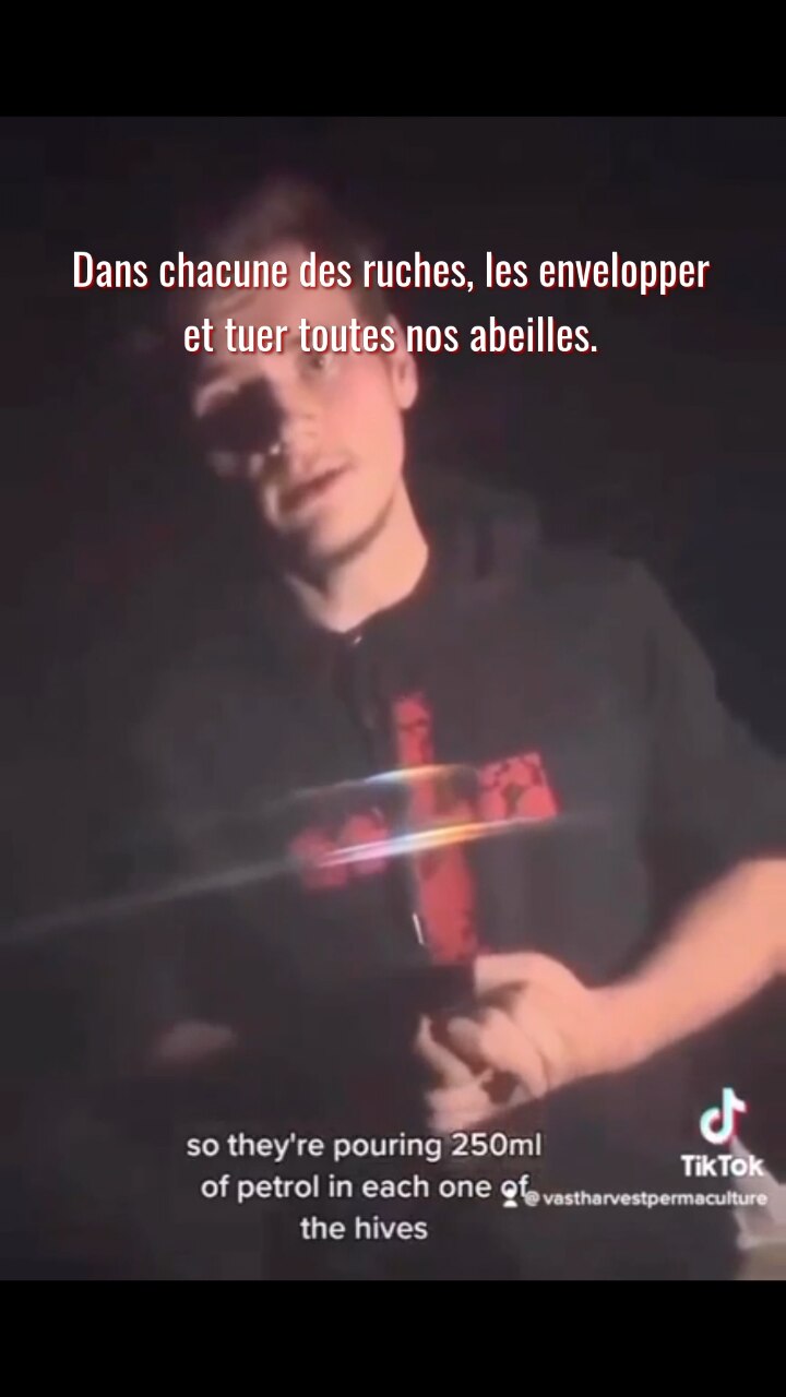 View BooDaKeusH's post on GETTR. Join the discussion, share your thoughts, and connect with the community.