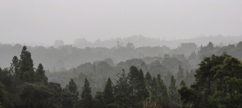很显然，恶劣气候今后会成为常态，而且会愈演愈烈。我们应该怎么做？这是怎么回事？为何想不通不确定，这是因为我们的思路不够直接。万物相关联，一切都并不高深莫测，因果总是很现实的存在在眼前，解决方法也很明了...