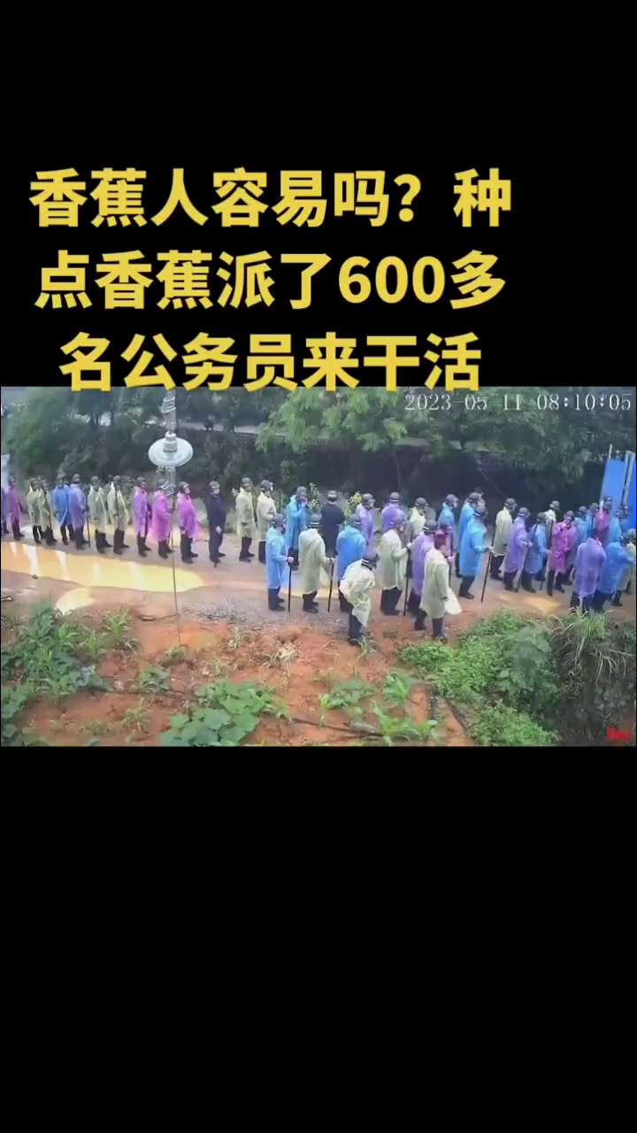 5月13日南宁西乡塘区，种香蕉被铲 #退林还耕 

崇左退蕉还蔗，武鸣退耕还田，广西香蕉种植户已经全被政府成功搞破产