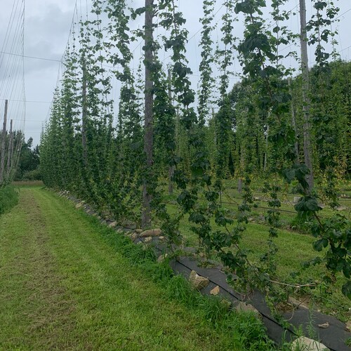 Hardcore farming freedom loving patriot…TRUMP