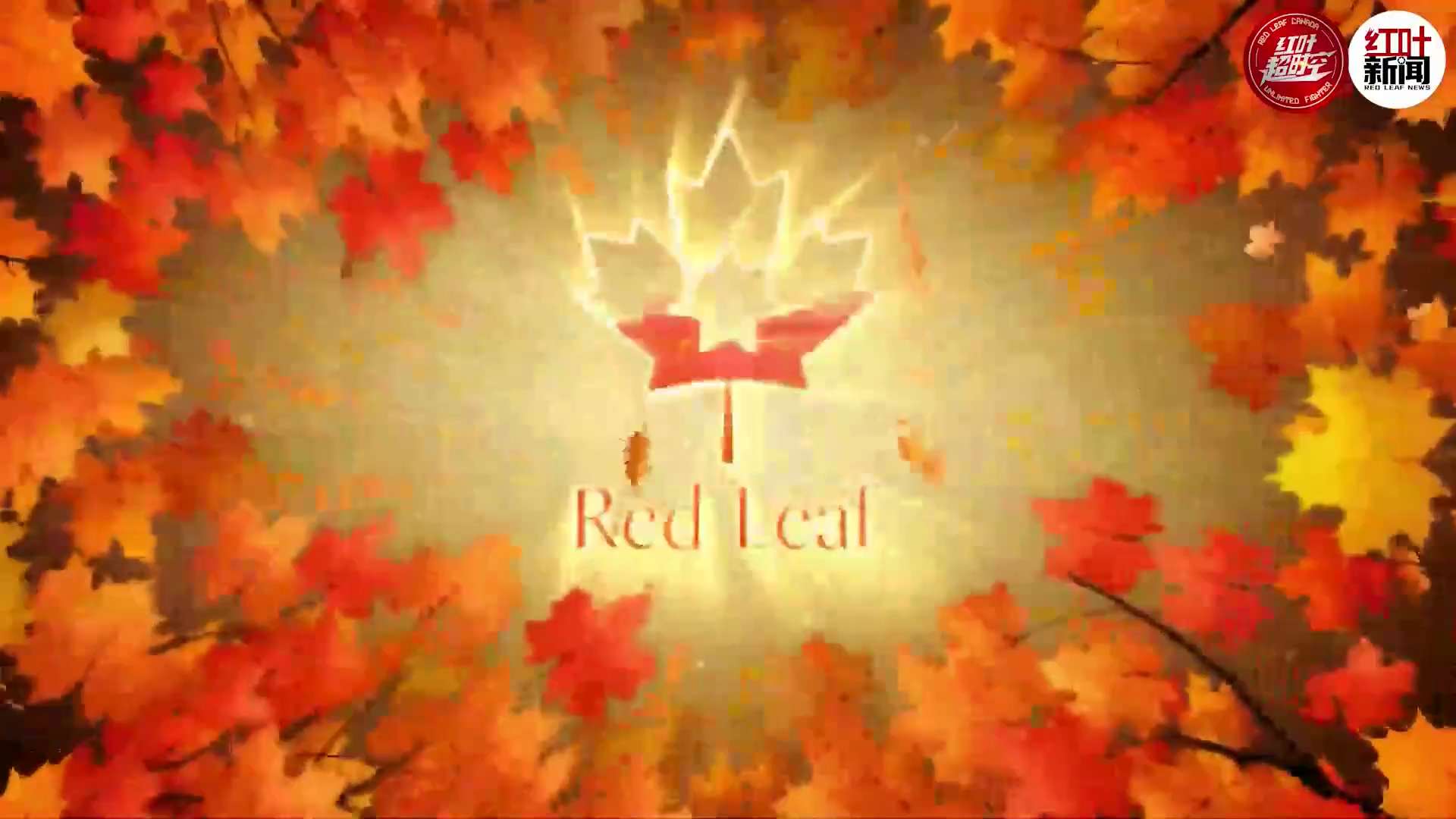 ✨✨五角大楼：中共拒绝两国防长在新加坡峰会期间会晤

#红叶农场 #红叶媒体 #中共拒绝两国防长在新加坡峰会期间会晤 #freemilesguo