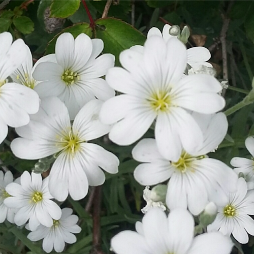 ESL teacher -lived in China several years -Tianjin and Dalian