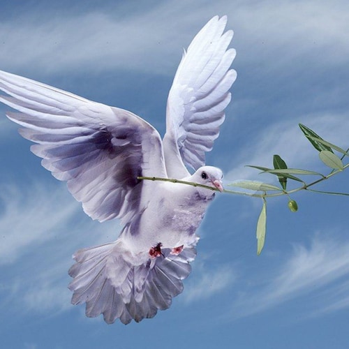 Visit 恩典记号's profile on GETTR. View their posts, photos, videos, and connect with them on the social platform.