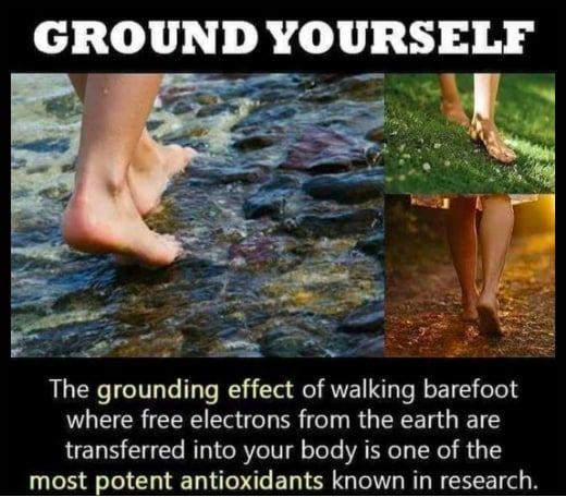 View SEF  🇺🇲🍊's post on GETTR. Join the discussion, share your thoughts, and connect with the community.