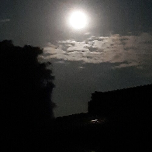 Visit gillesdefr's profile on GETTR. View their posts, photos, videos, and connect with them on the social platform.