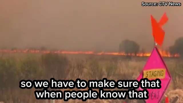 So…..bankrupt and deindustrialise the country back to the 1800’s to prevent fires that are mostly ca...