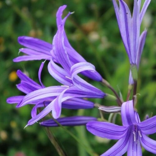 Visit DaSu Ronald's profile on GETTR. View their posts, photos, videos, and connect with them on the social platform.