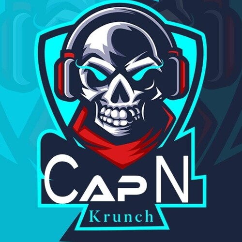 Disabled Combat Veteran gamer