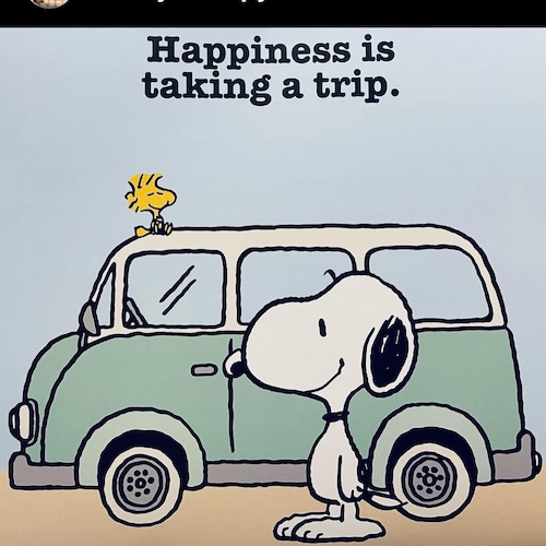 Patriot 🇺🇸Highest respect for the Military🇺🇸Two genders and pure blooded . No DMs Maga only . Demoncrats make me sic...