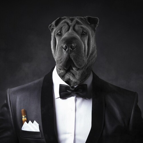 Retired military veteran, investigative reporting, one who despises any misinformation and misdirection infecting our co...