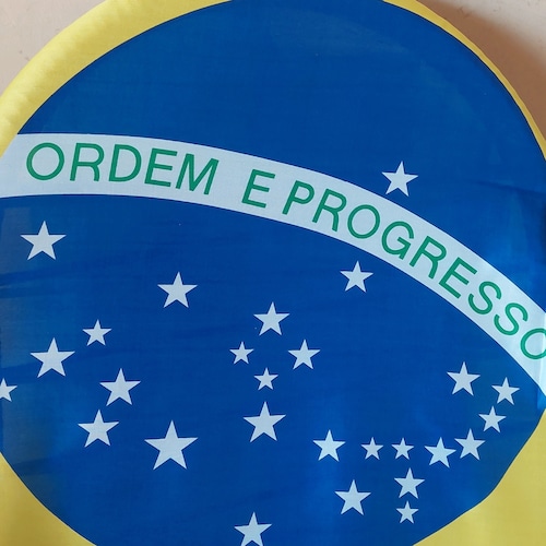 Sou brasileira, mãe, filha dessa Patria Amada Chamada Brasil.Orgulhosa de ter votado no Bolsonaro.Quero deixar um Brasil...