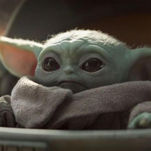 Visit SweetP88's profile on GETTR. View their posts, photos, videos, and connect with them on the social platform.