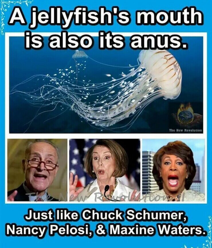 View Chuck Lawler's post on GETTR. Join the discussion, share your thoughts, and connect with the community.