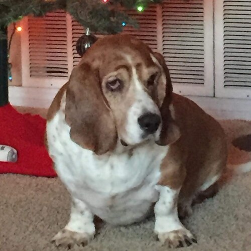 God, Family, Country
Married, 4 kids, 6 grandkids