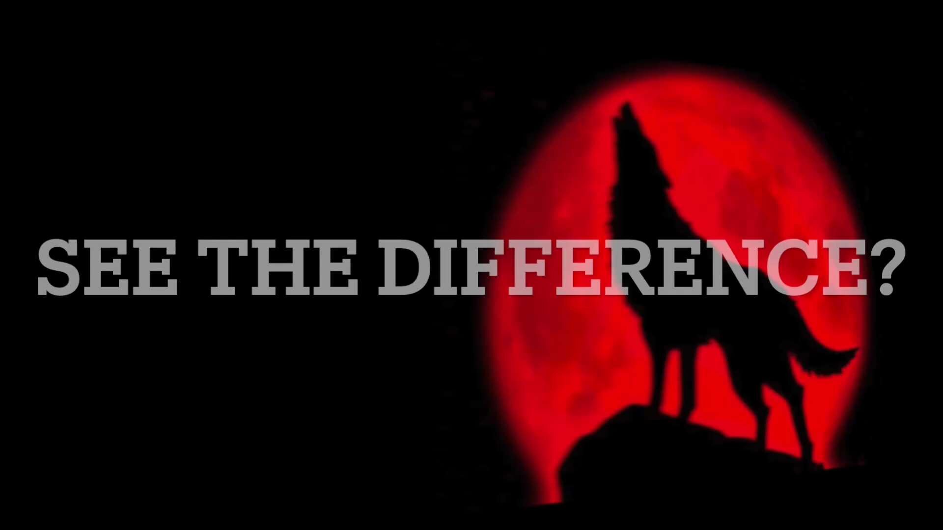 View Phantomas's post on GETTR. Join the discussion, share your thoughts, and connect with the community.