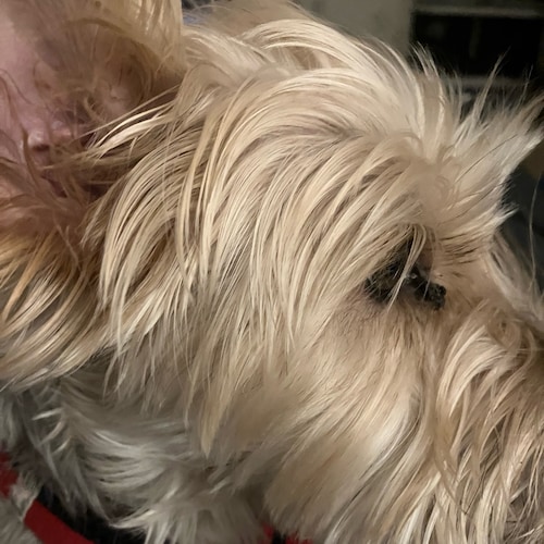 Retired 
College Educated Skeptic
Political Jaguar
Very momentous changes  will be slipped right under  the watch of foo...