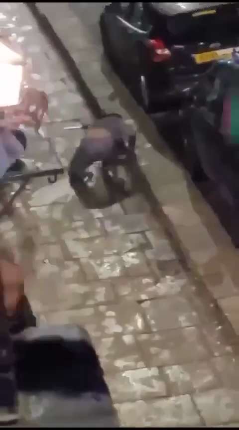 "Peaceful" ones running around armed and attacking tonight in West Yorkshire.

Gets served up with a...