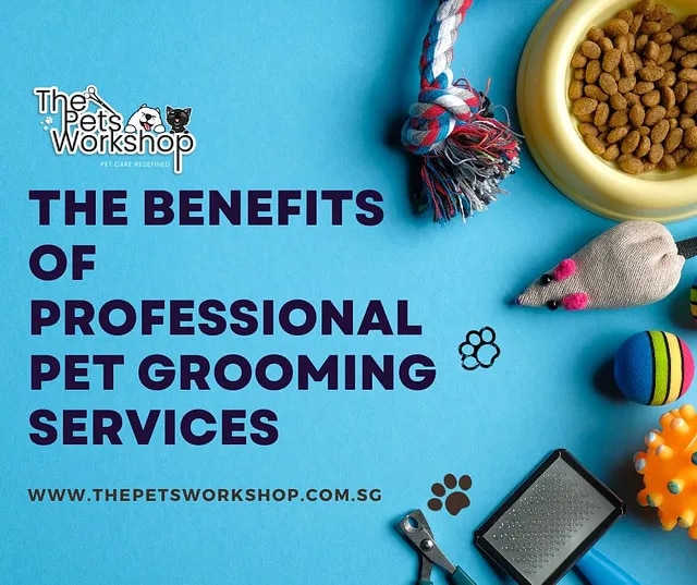 Choosing professional pet grooming services isn’t just a luxury — The Pets Workshop


Opting for pro...