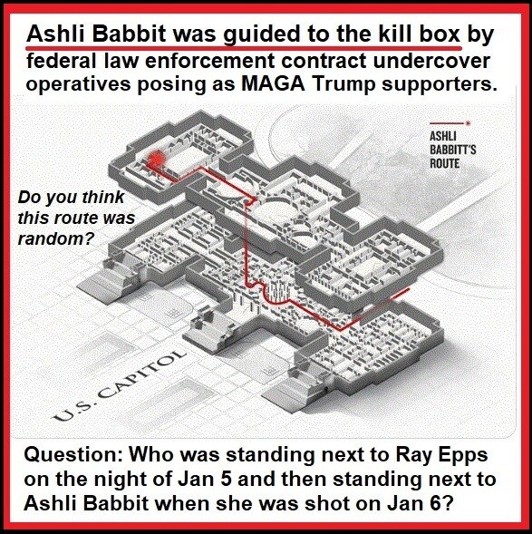 Capitol Police Lt. Made False Radio Report After Shooting Ashli Babbitt: Exclusive Lawsuit Reveals
h...