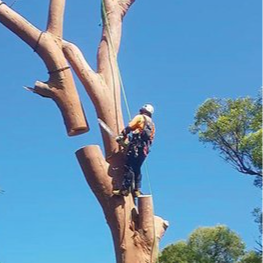 Visit christstephens's profile on GETTR. View their posts, photos, videos, and connect with them on the social platform.