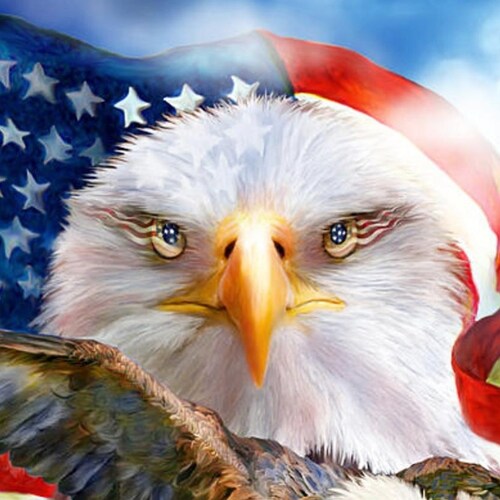 I am MAGA
Bassist, Guitarist, 
#AmericaFirst
#MAGANation
#VeteransBeforeIllegals
#HistoryRepeatsForTheStupid
1A 2A 🇺🇲💪 #1776
Proud Supporter of FA/FO life 😎