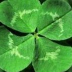 Visit bensonleo's profile on GETTR. View their posts, photos, videos, and connect with them on the social platform.