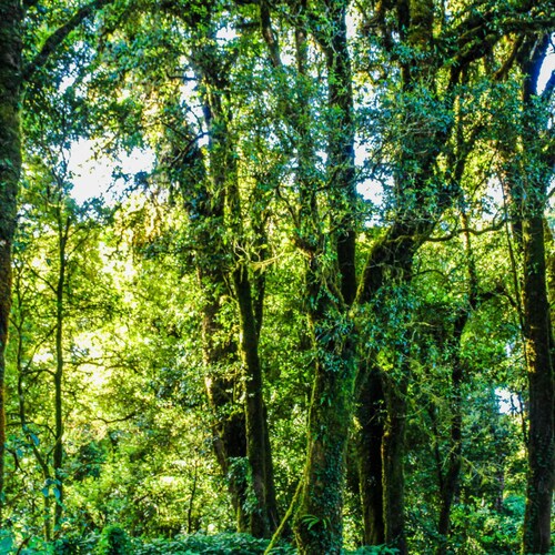 it is a travel comapny