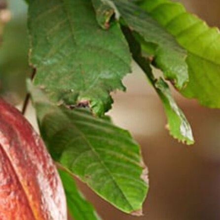 I WANT TO BETTER SERVICE OF DIET AND WEIGHT LOSS