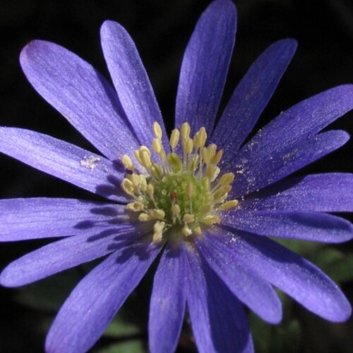 “A lie can travel half way around the world while the truth is putting on its shoes.”
Charles Spurgeon