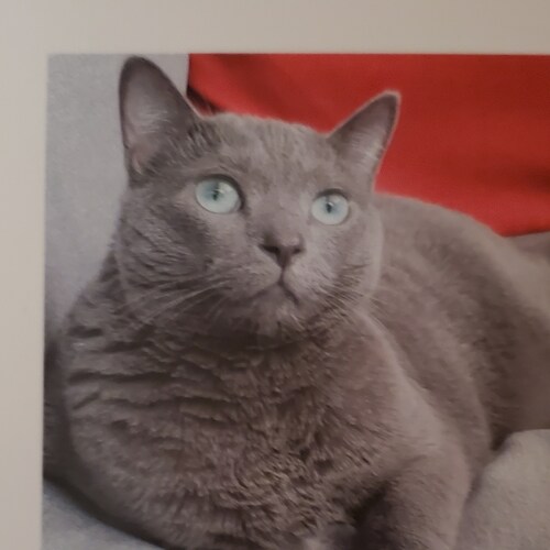 Visit JChartley's profile on GETTR. View their posts, photos, videos, and connect with them on the social platform.