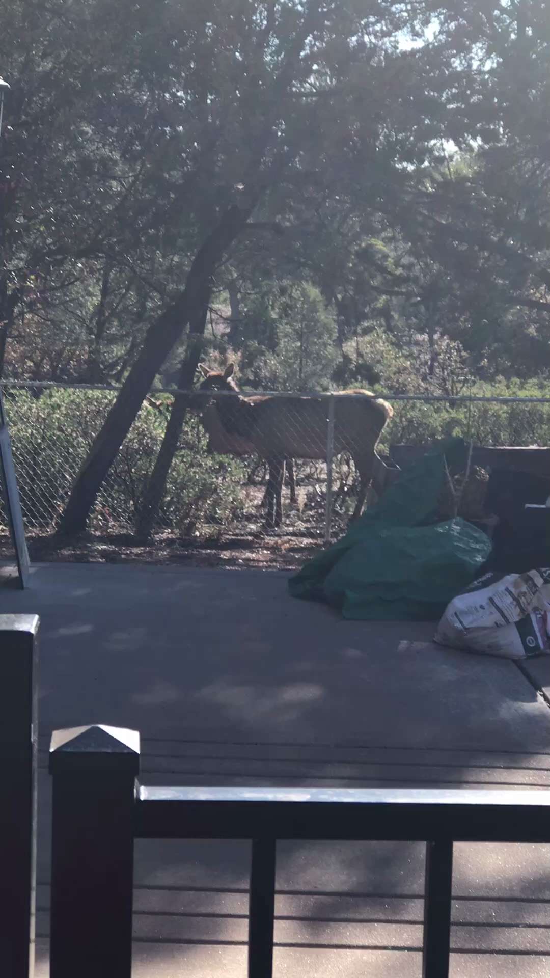 Great day on the farm as we had our landscaping crew show up today.  Got to admit they’re very inexp...