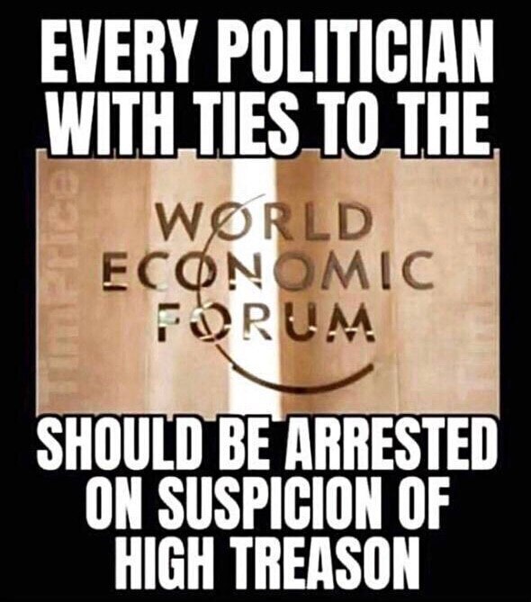 Politicians have begun deleting their World Economic Forum profiles.  They know what's next. 